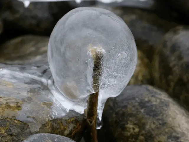 Use ice to keep food cold while camping