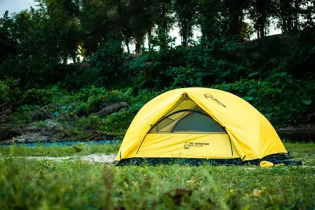 A yellow tent near trees