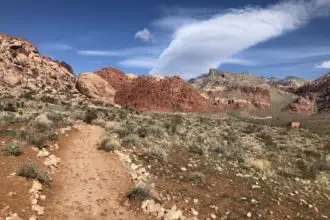 Calico Basin Trail in Las Vegas, NV Hiking Guide