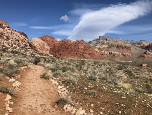 Calico Basin Trail in Las Vegas, NV