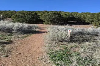 Dale Ball Trails in Santa Fe, NM Hiking Guide