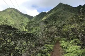 Wiliwilinui Ridge Trail in Honolulu, HI Hiking Guide