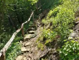 Craven Gap Trail in Asheville, NC