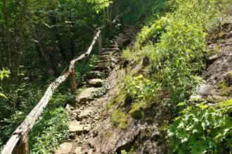 Craven Gap Trail in Asheville, NC Hiking Guide