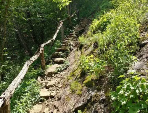 Craven Gap Trail in Asheville, NC